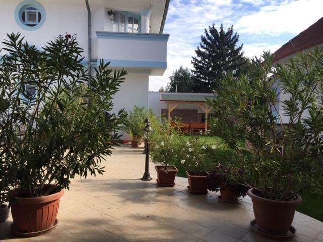 Csigahaz Panzio Guest house Gyula