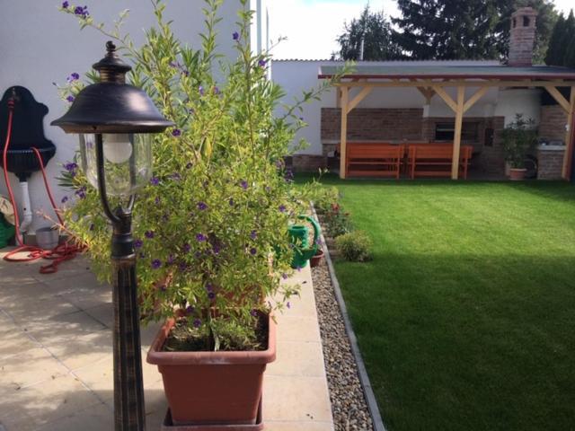 Guest house Csigahaz Panzio Gyula